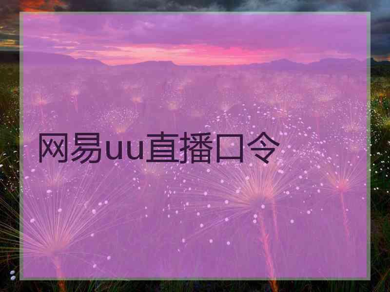 网易uu直播口令