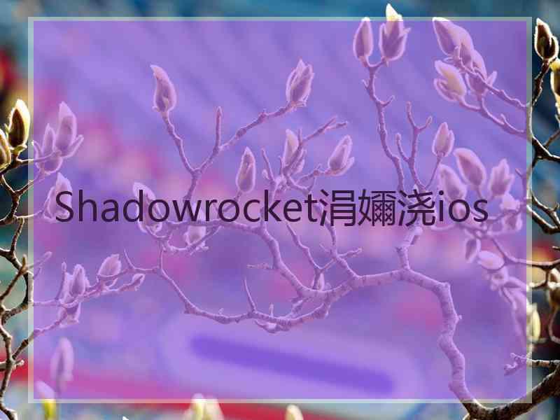 Shadowrocket涓嬭浇ios