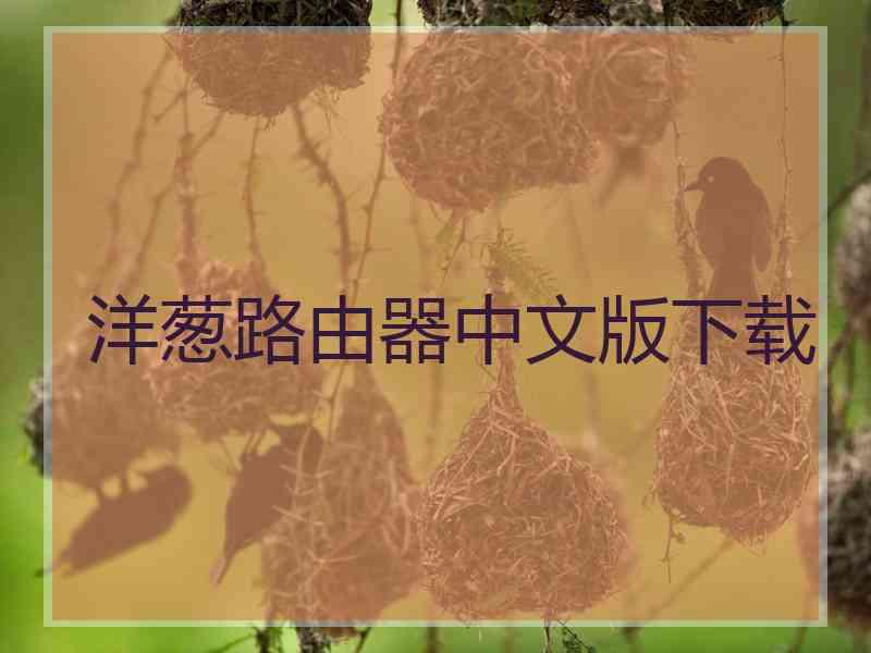 洋葱路由器中文版下载