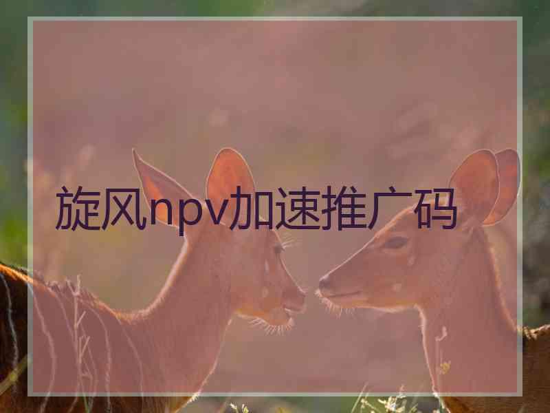 旋风npv加速推广码