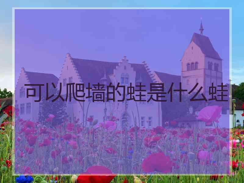 可以爬墙的蛙是什么蛙
