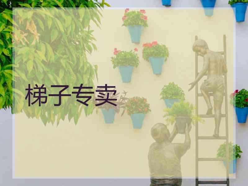 梯子专卖
