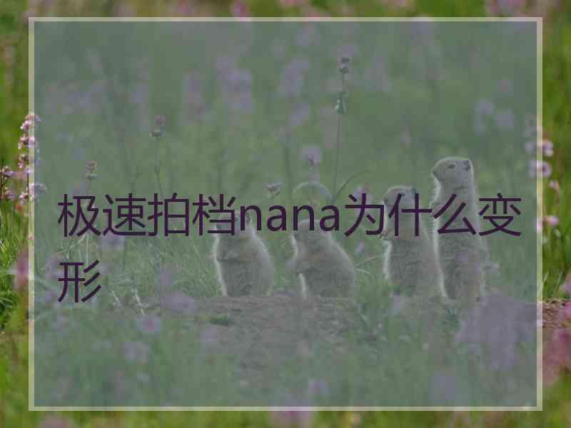 极速拍档nana为什么变形