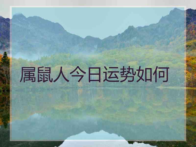 属鼠人今日运势如何