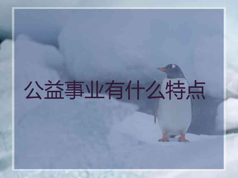 公益事业有什么特点