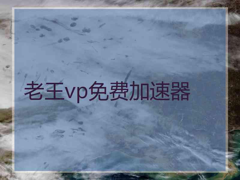 老王vp免费加速器
