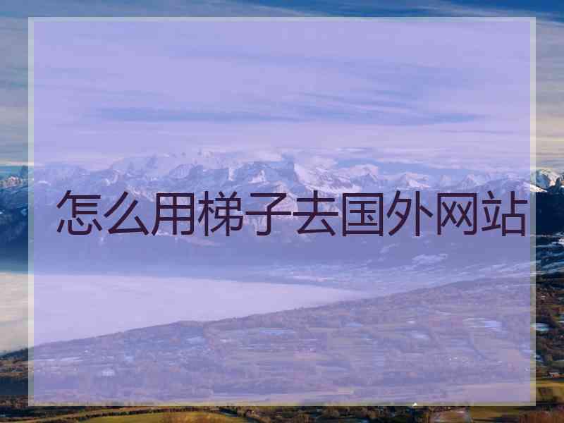 怎么用梯子去国外网站