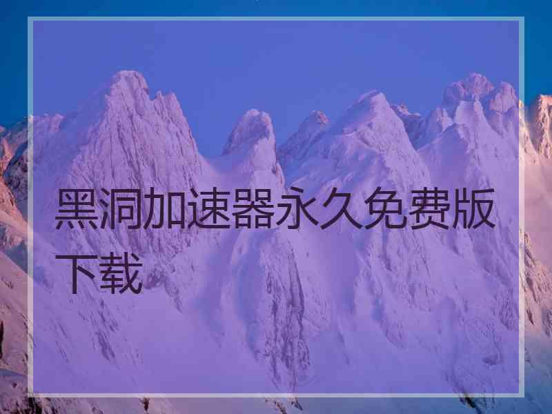 黑洞加速器永久免费版下载