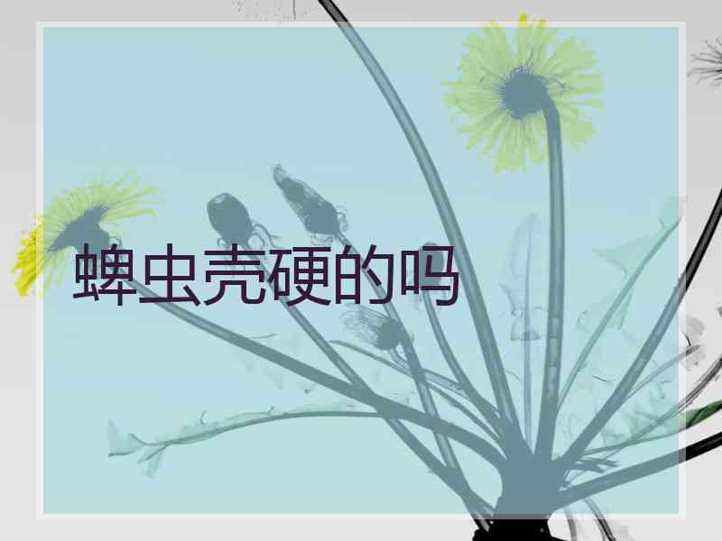 蜱虫壳硬的吗