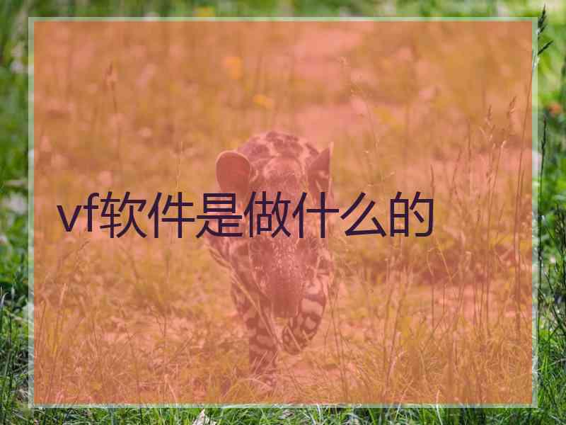 vf软件是做什么的