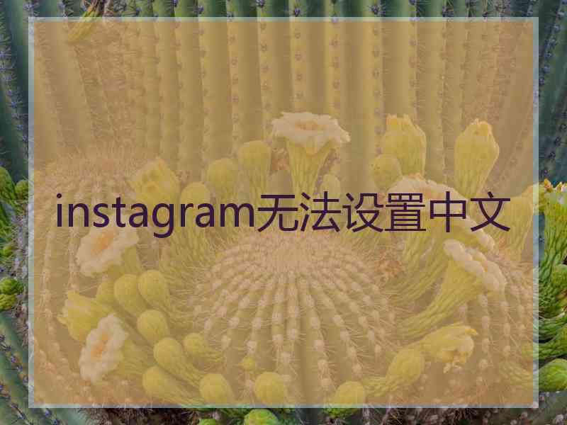 instagram无法设置中文