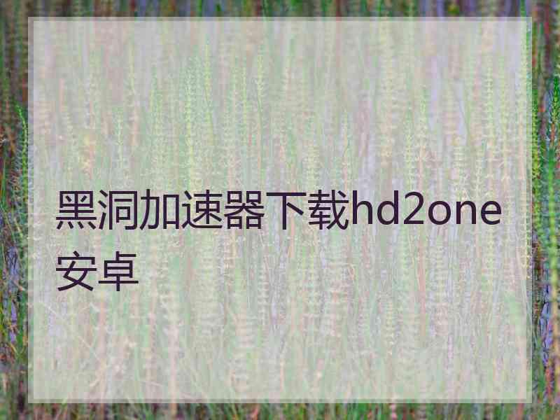 黑洞加速器下载hd2one安卓
