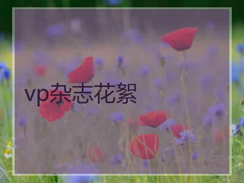 vp杂志花絮