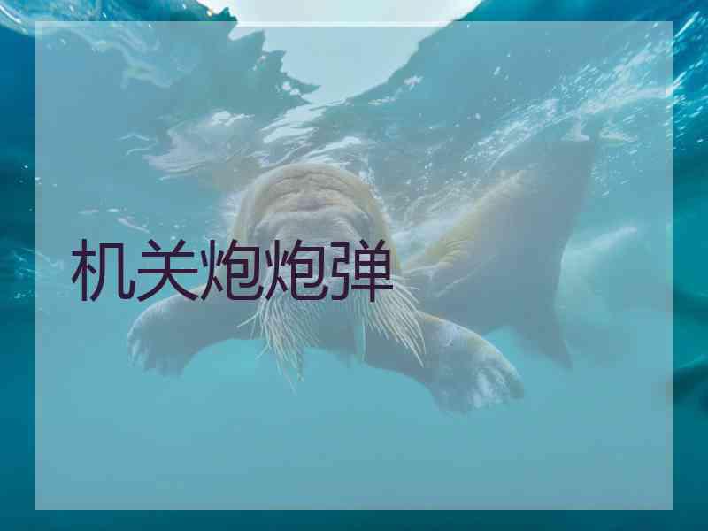 机关炮炮弹