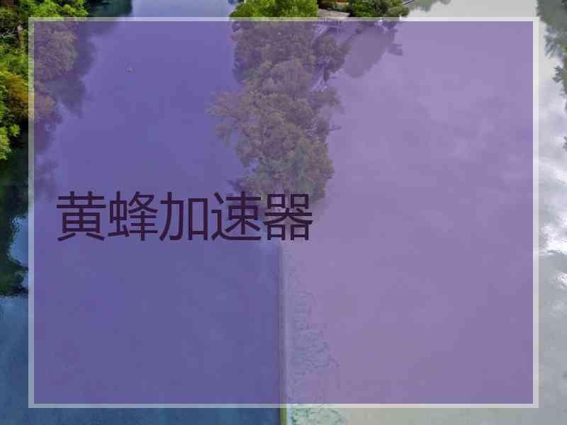 黄蜂加速器