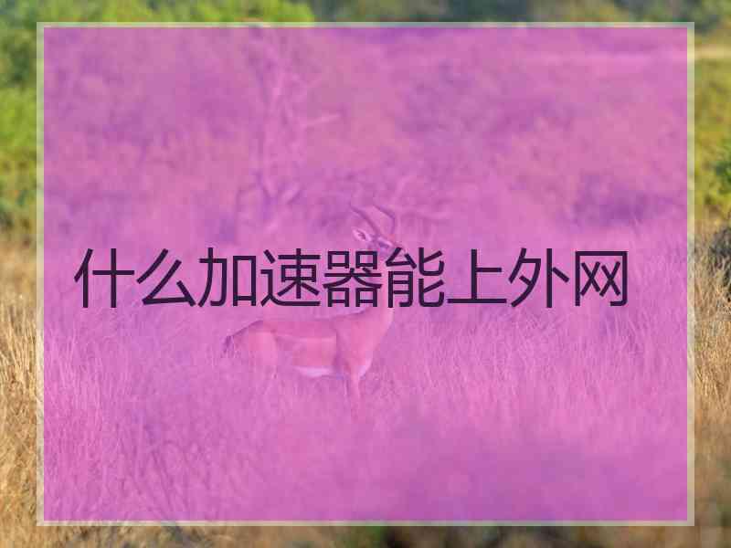 什么加速器能上外网