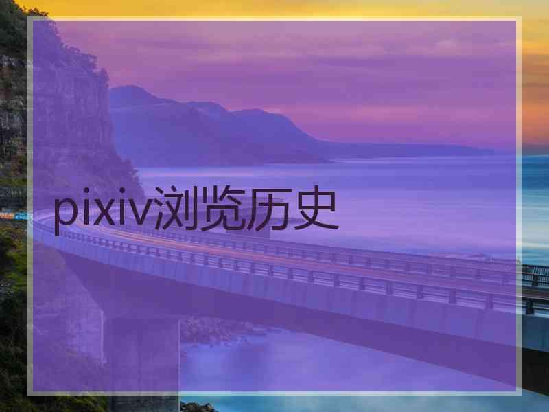 pixiv浏览历史