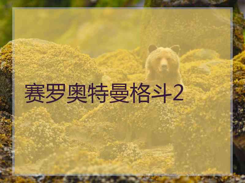 赛罗奥特曼格斗2