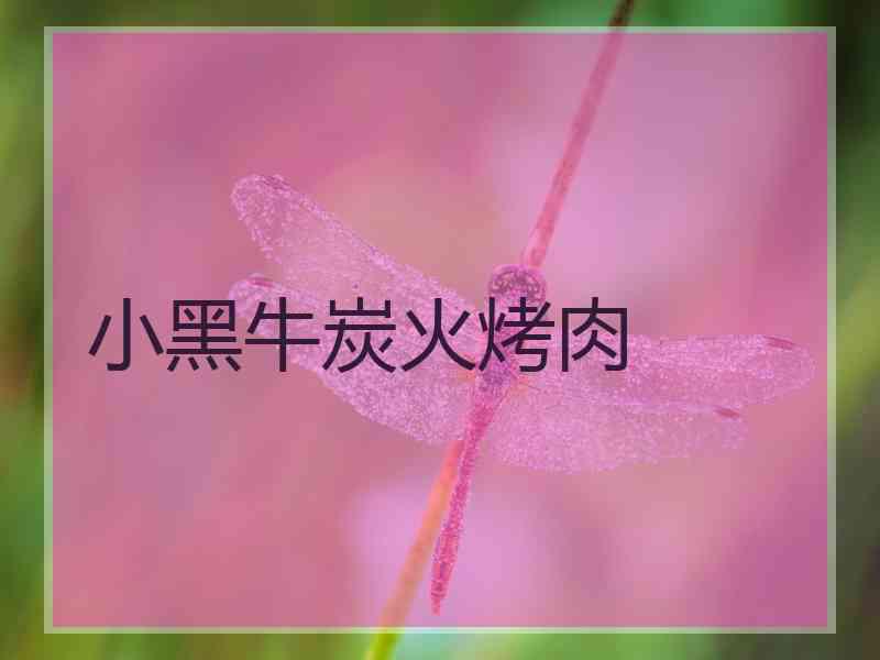 小黑牛炭火烤肉