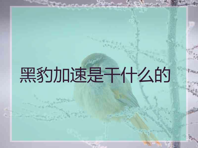 黑豹加速是干什么的