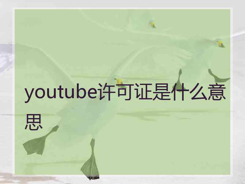 youtube许可证是什么意思