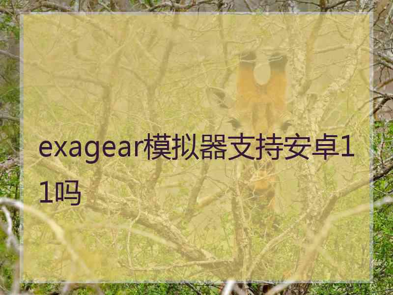exagear模拟器支持安卓11吗