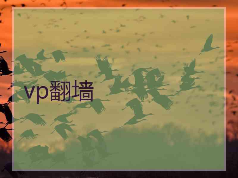 vp翻墙