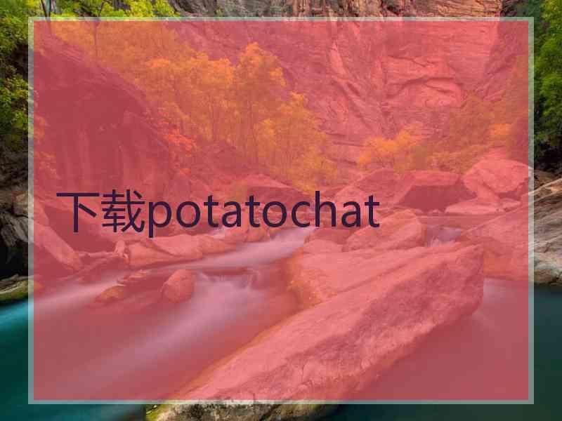 下载potatochat