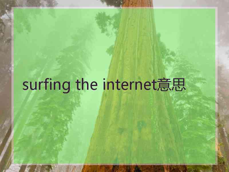 surfing the internet意思