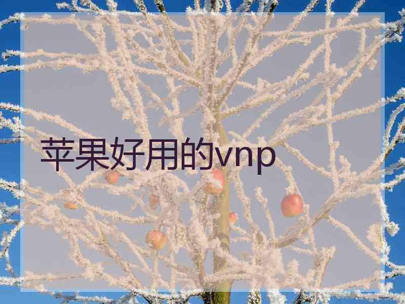 苹果好用的vnp