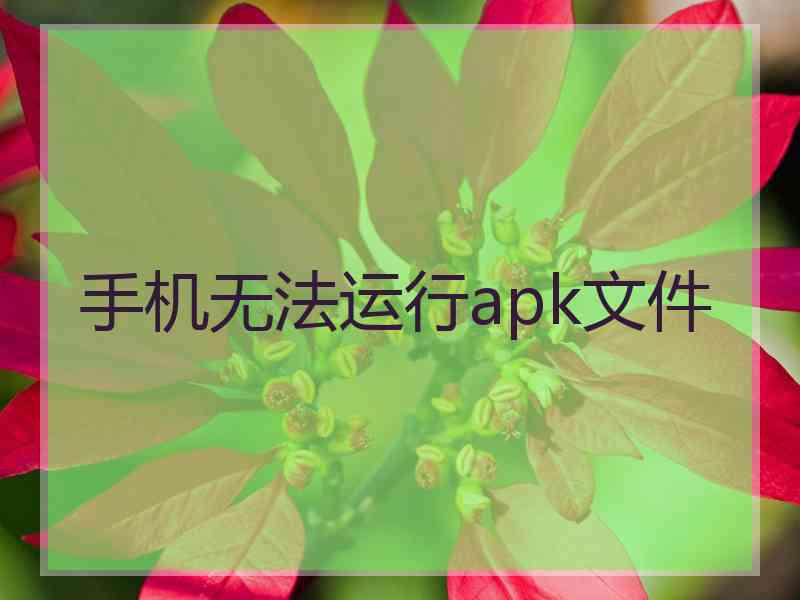手机无法运行apk文件