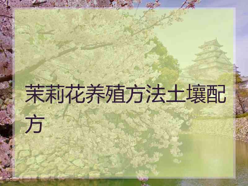 茉莉花养殖方法土壤配方