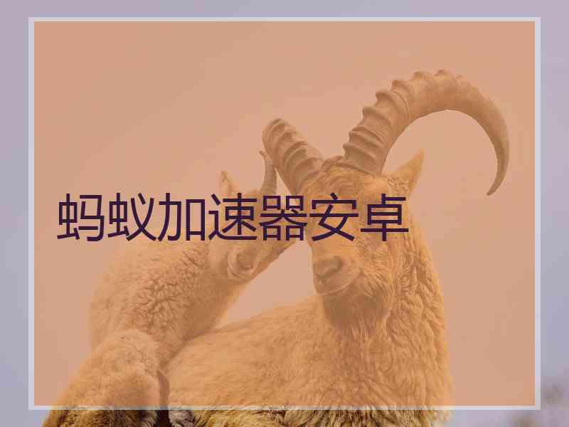 蚂蚁加速器安卓