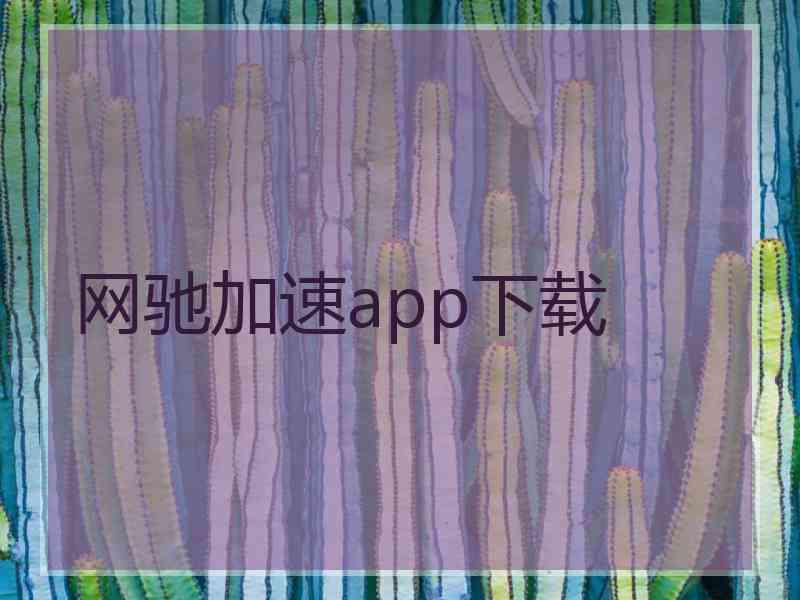 网驰加速app下载