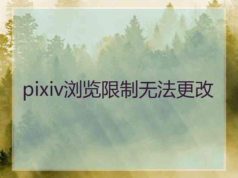 pixiv浏览限制无法更改