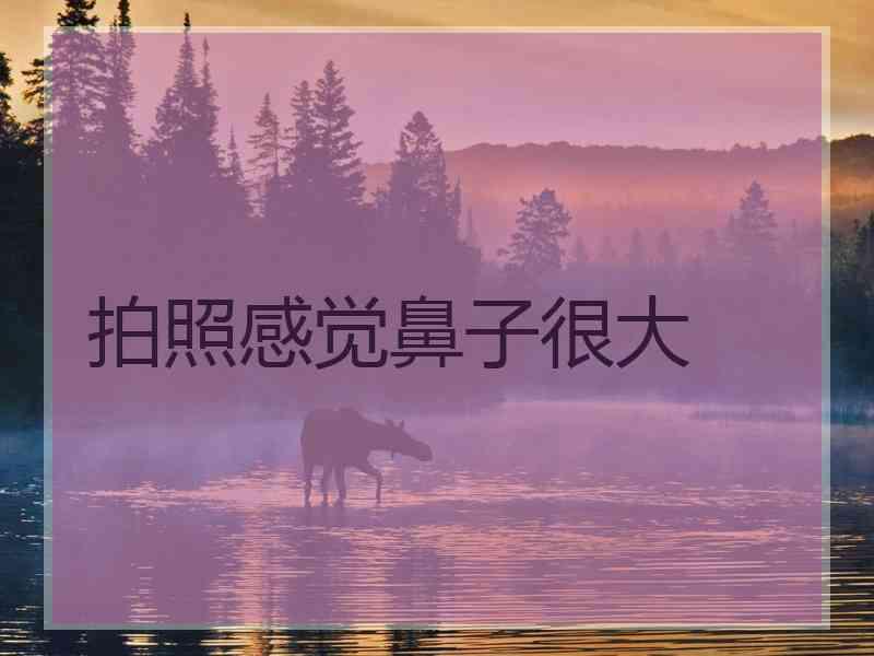 拍照感觉鼻子很大