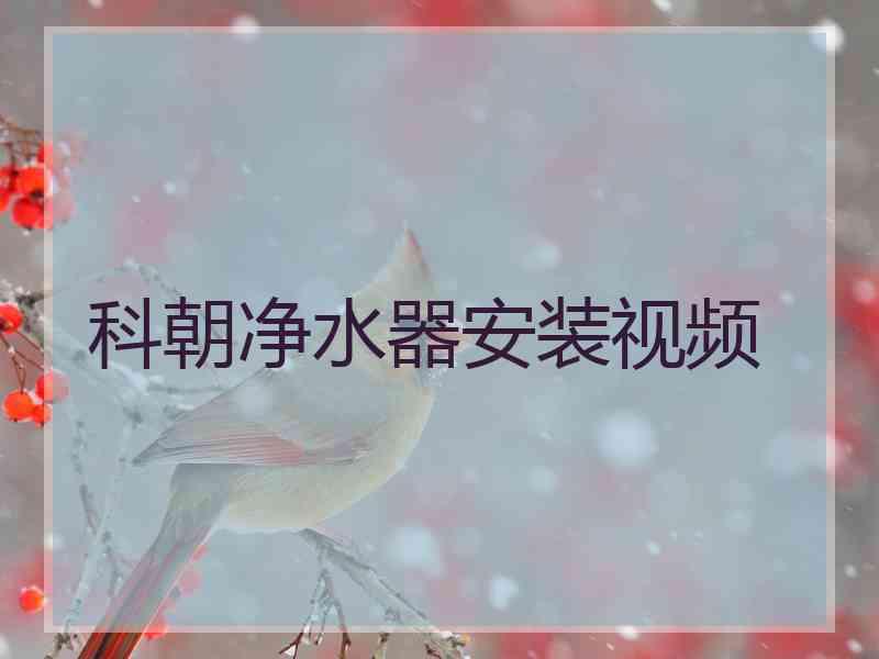科朝净水器安装视频