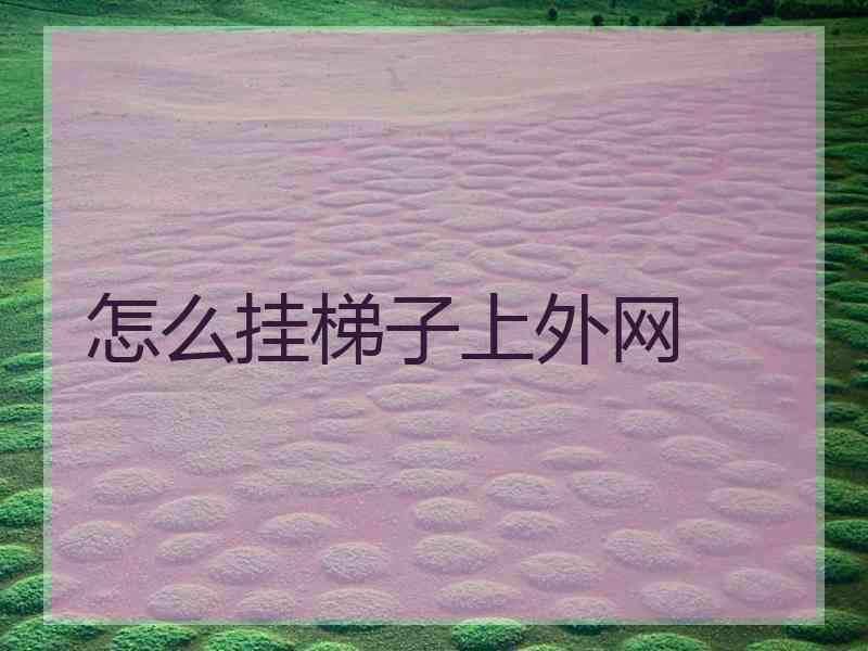 怎么挂梯子上外网