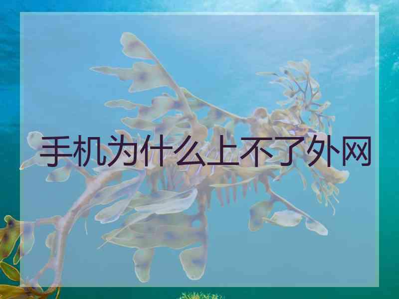 手机为什么上不了外网