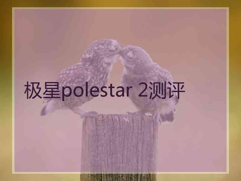 极星polestar 2测评