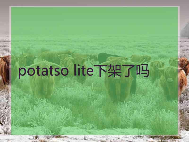potatso lite下架了吗