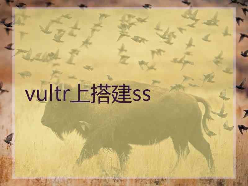 vultr上搭建ss