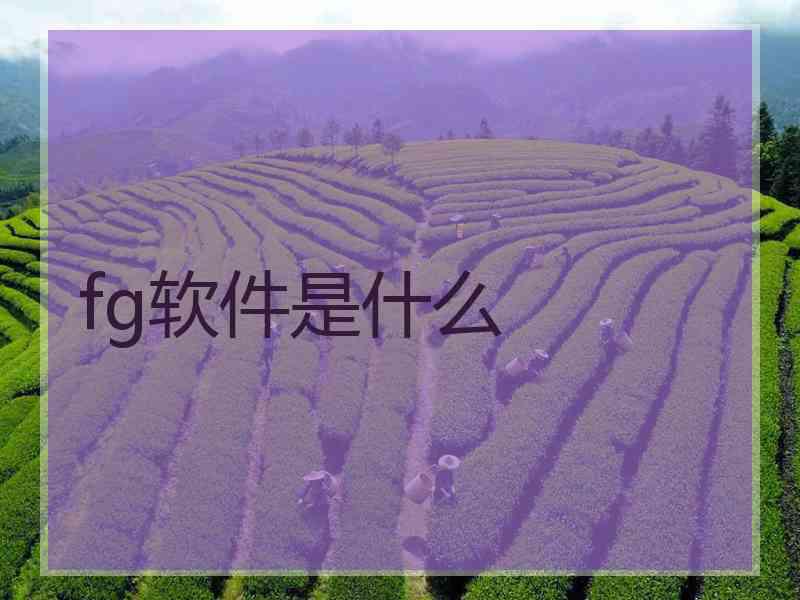 fg软件是什么