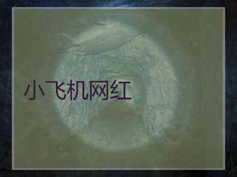 小飞机网红