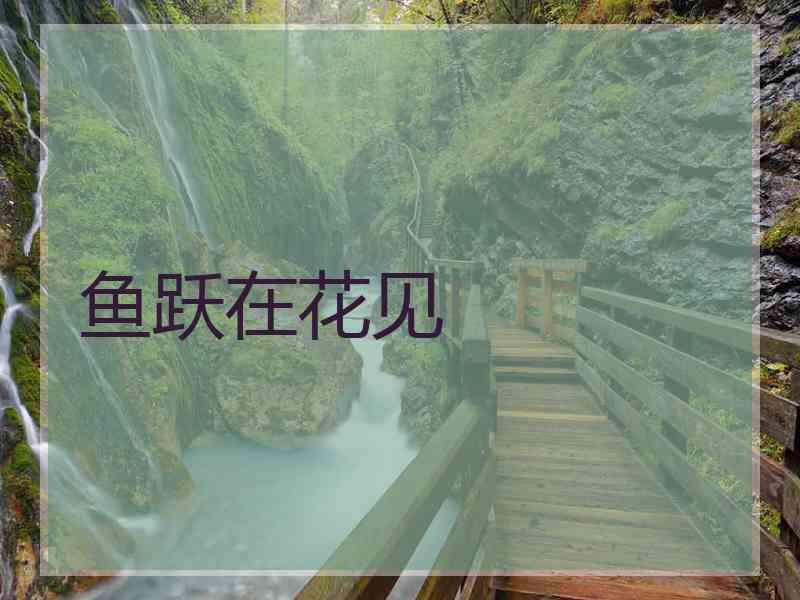 鱼跃在花见