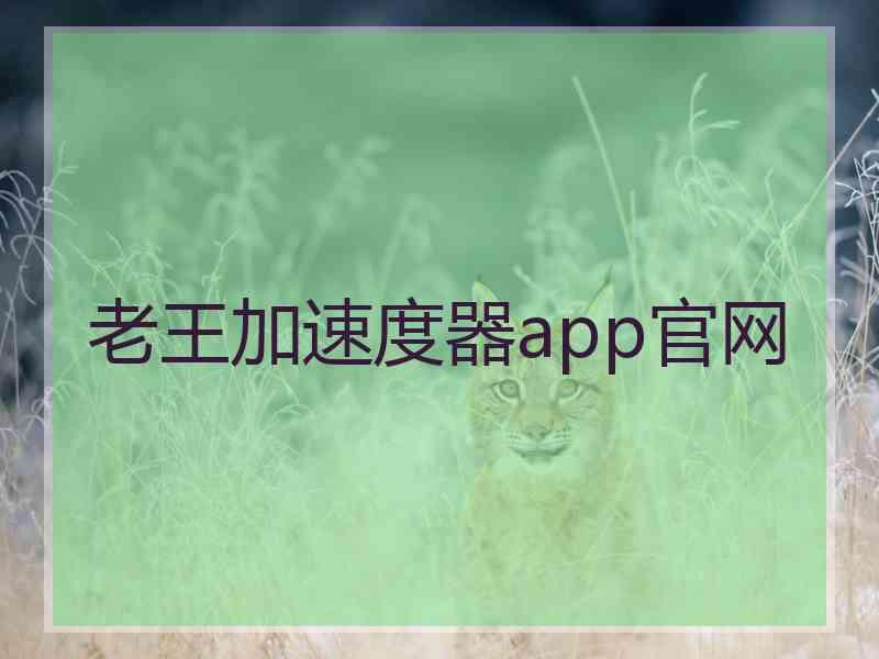 老王加速度器app官网