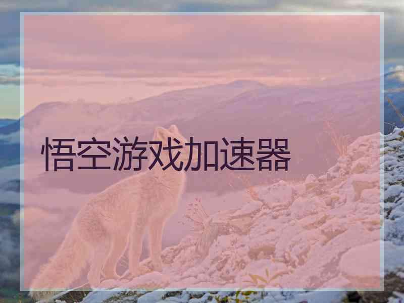悟空游戏加速器