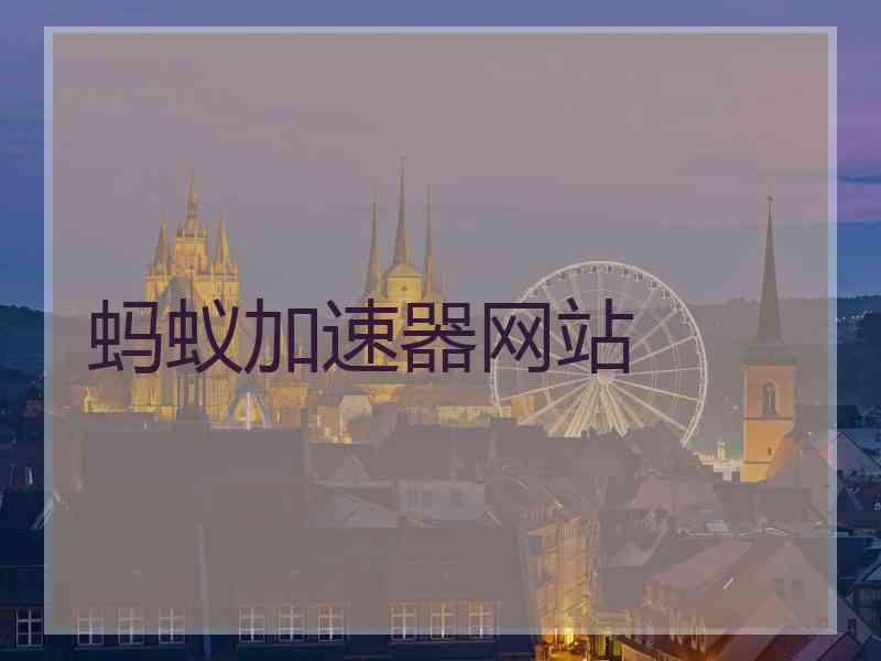 蚂蚁加速器网站