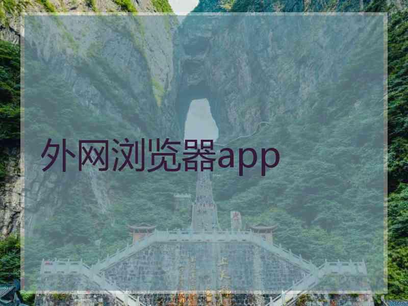 外网浏览器app