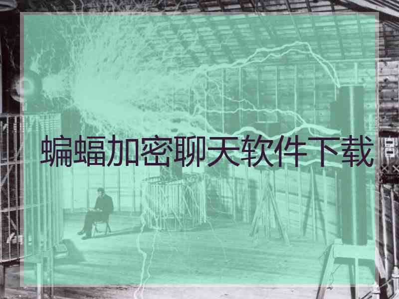 蝙蝠加密聊天软件下载